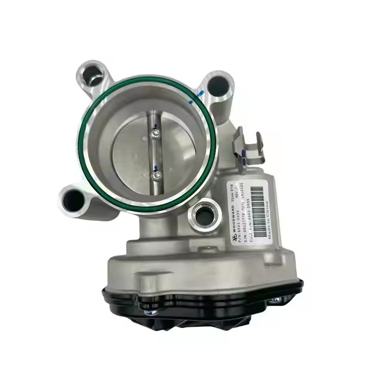 612600191591 Throttle Valve Gas Engine Electronic Throttle Valve 6945-5039 55mm Caliber