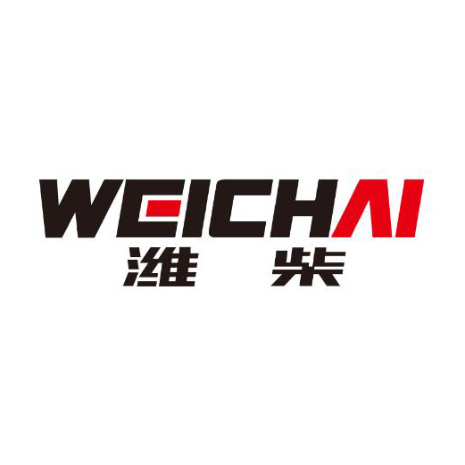Weichai Engine Parts